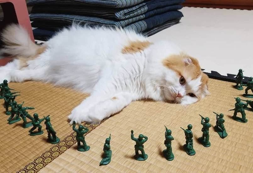 Владислав Шурыгин: Курская область - последний шанс негодяев, тот самый "контрнаступ", который даст режиму киевских плутократов хоть какие-то очки перед мирными переговорами