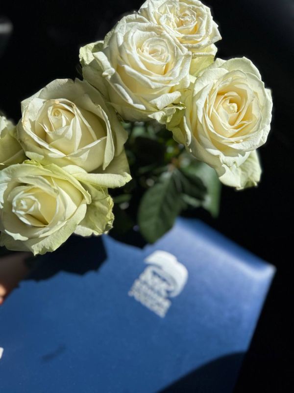 ��������� �������� � 86 - ������