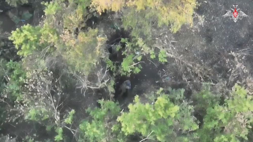 ��������� �������: ������ FPV-������ ����������� ����� ������ ��������� ������������ � ������ ������ ���