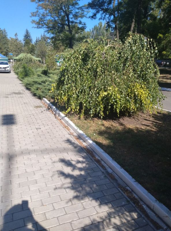 ������� �������: �� ��������� ����� �������� �������� ���������� ������ �������� ��������� ������ �� ������ ������ � ����������� ���� �� ���������� �������� ���������� ������