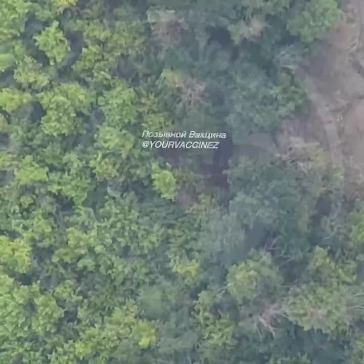 ����� ����������� ����������� ����� �� ���������� ����������� ��������