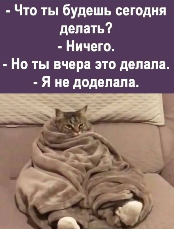 ������� �����. ��������� ���������-24