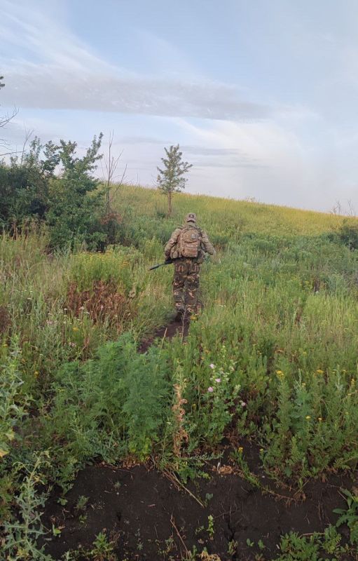 Борис Рожин: По ситуации с Курской областью: высказались уже все, кому не лень, можно и нам сказать наверное