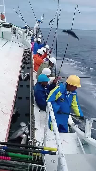 �������������� ������� ����� �����
