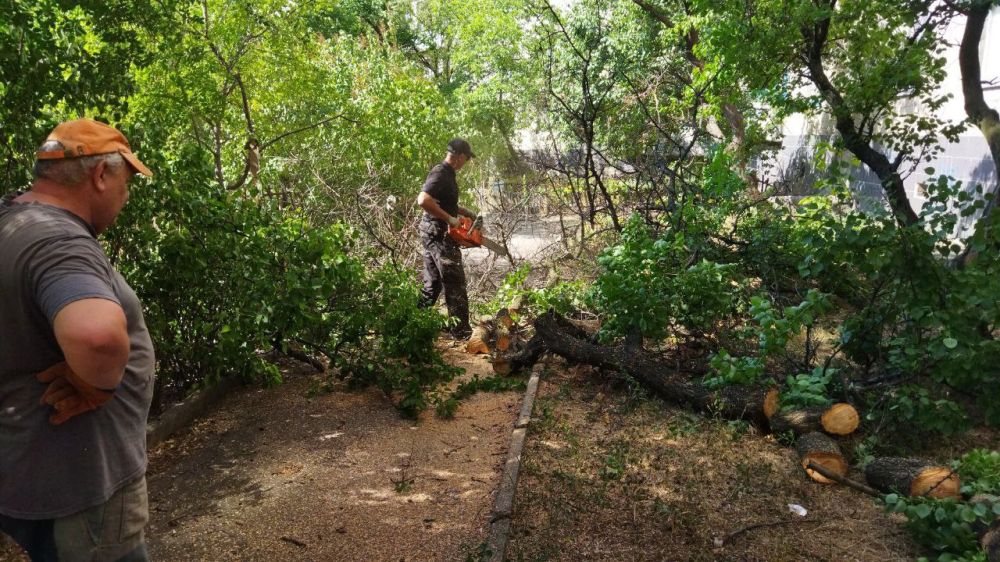 ������� ������: ������ ��� ��� "����������� �������� ������������ ������ �.�������" ��������� ������ �� ����� ��������� �������� �� ���������� ���������� ������ ���� � 6 �� ����� ������������