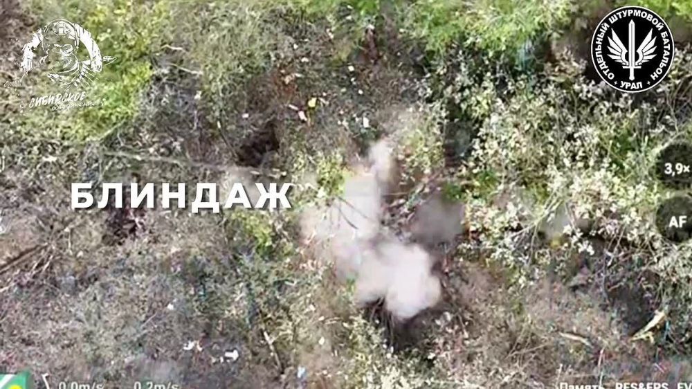 ��������� �������: �������� �������� ����������