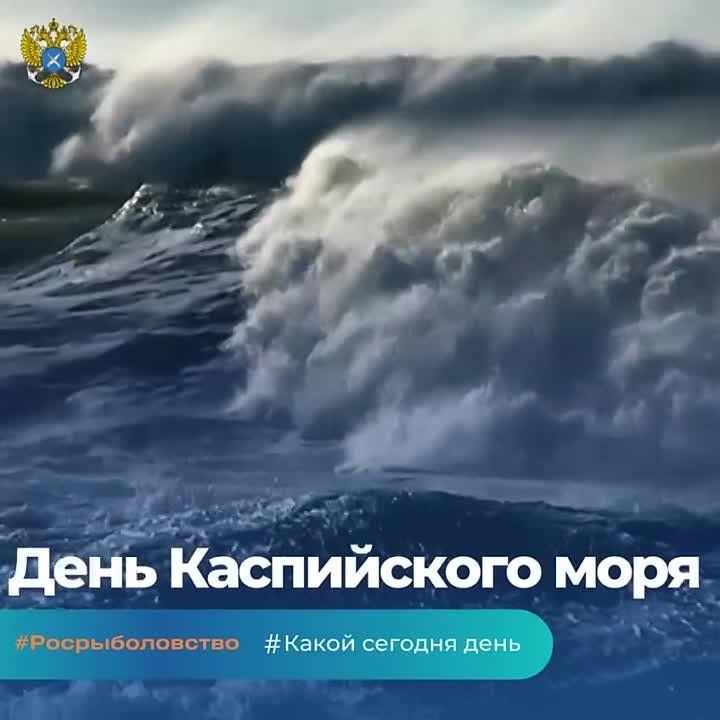 ���� ������: ���������� ������� � ���� ������������� ���������������