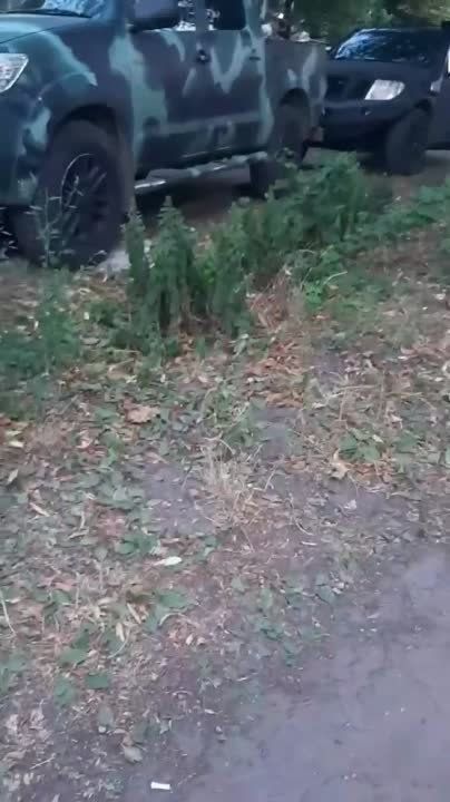 �������, 11 ������� 2024 ����