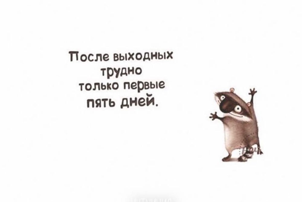 ������� �����. ��������� ���������-24