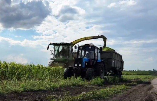 ���������������� ��������� ������� ���������� ������ �� ��������� ������ � ������ ������ � ������ 2024 ����, ������� �.�