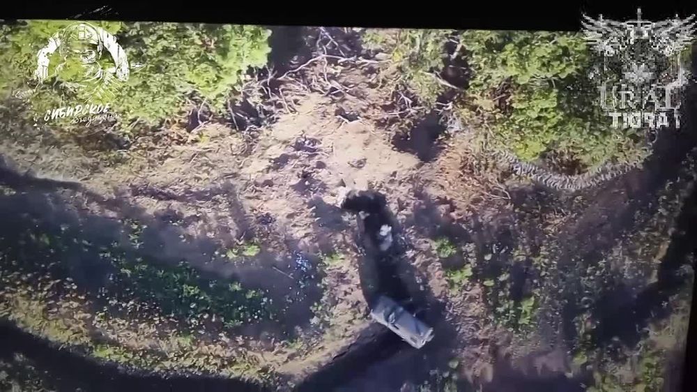 ��������� �������: �������� ����������. ���������, ��� ������ ���� ��������, ���� ������ ��������� ������� '����' ������ '�����'