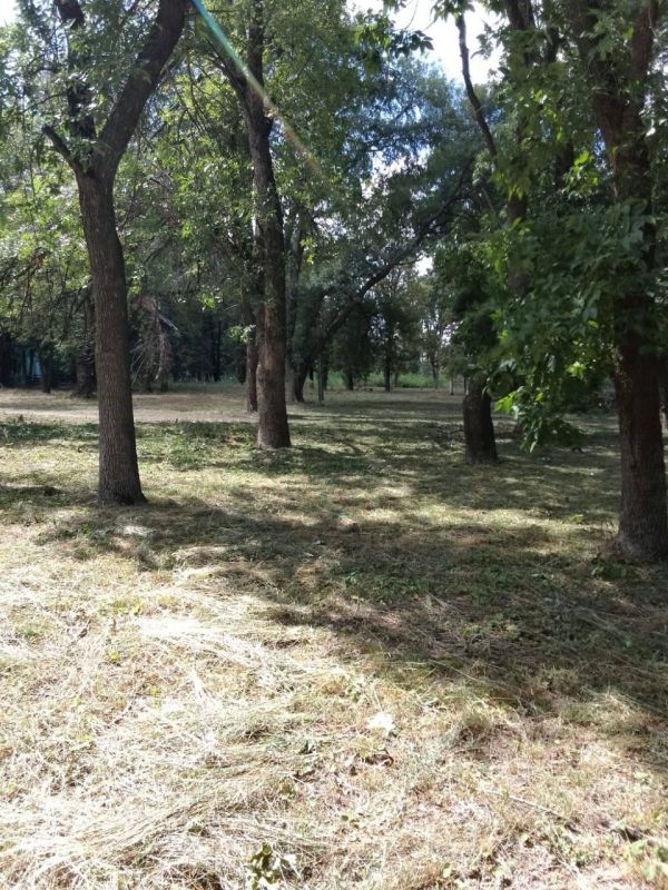 ����� �����: �� ��������� ����� �������� �������� ���������� - ������ ������������� �������� � ��������� ������ ��������, ������ �� ���� ������������ ����� �����, ������� ����������� � ������� ������� � ��������� �����