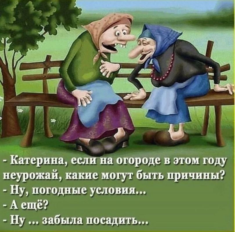 ������� �����. ��������� ���������-24