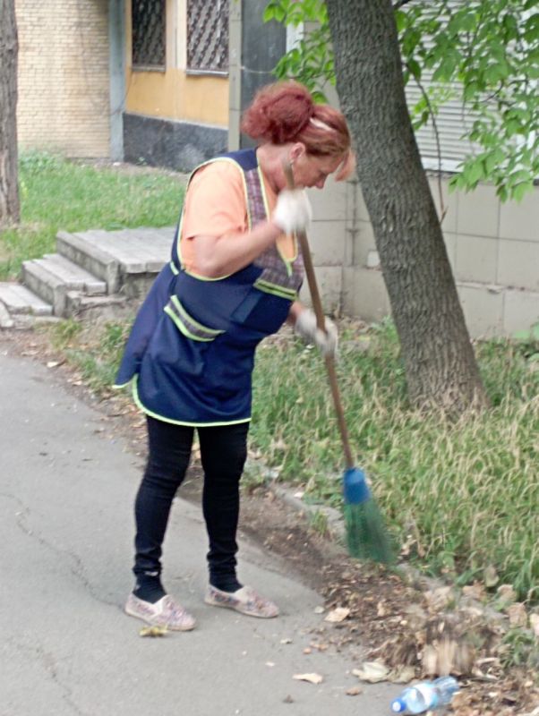 ������� ������: ������� ������������ ��� ��� "����������� �������� ������������ ������ �.�������", � ������ ���������� ����� "������ �������", ��������� ������ �� ������ �����, ������ ���������� ����������, ���������� ������� ������ ��������