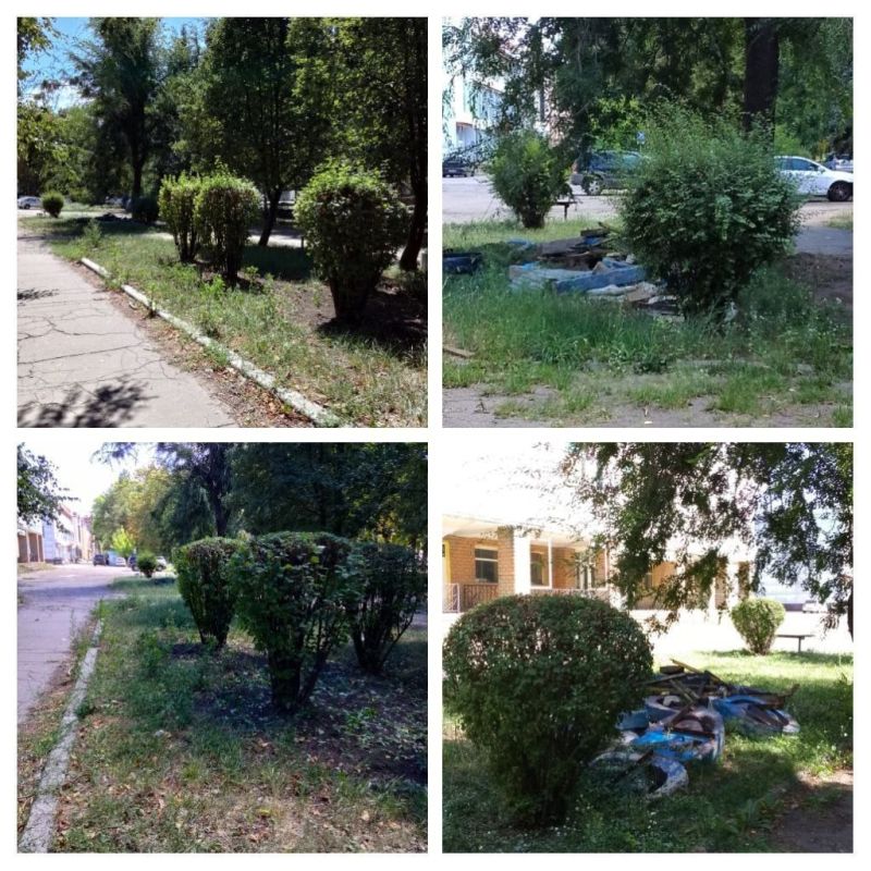 14.08.2024�.. ���������� � ������������ �����������
