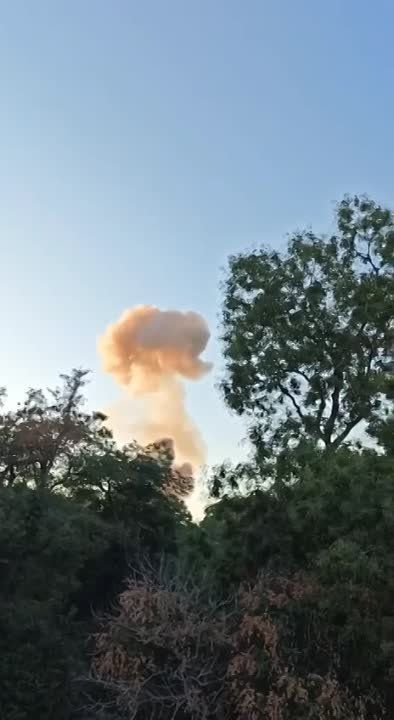 ������ �������� ���� ������� �� ��������� �����, ������� ������ �����