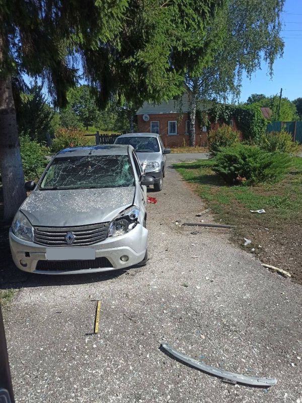 ������ ����������� ������������ ������ ������ ������ ������ � ���� ������� (������������ �������), ������� ���������� ������� �������