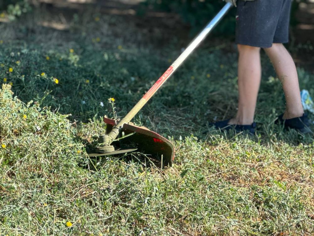 ����� �����: �� ������ ������ ����� ������ � ����������� ���� ������� �������� �� ���������� ����������� ��