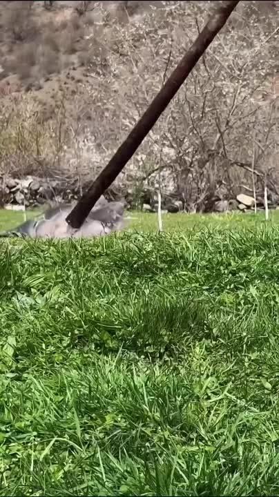 ������������ ������� ������� ���� ������, ������������ � ����������� �����
