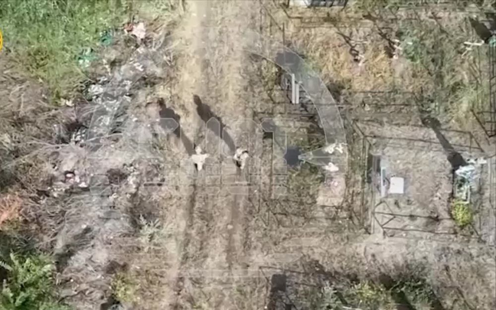 ������ ������: ����� - �� ����� � ����� �������� ���������� ��� �������, ������� � ������ ��������� ���������� ������� �����...