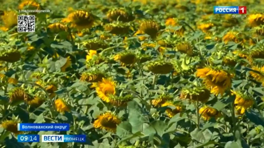 ����������� ��������� ������� ���������������� ������� ���������� ���������������� �������� �������� �������������