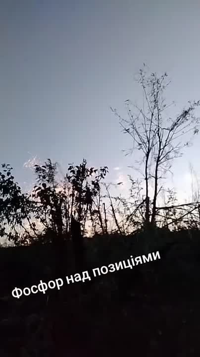 ������ �������: �� ������ ���� �� �������� ������ �� ����-�������� �����������