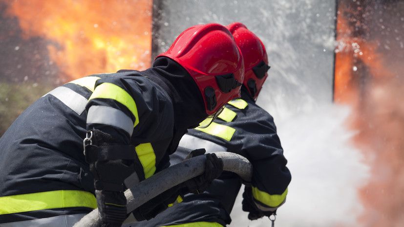 ��������: �������� �����������, ����� ����������� ��� ������� �� �������