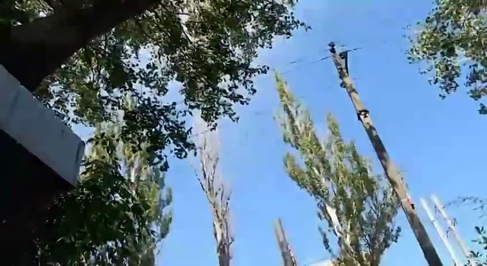 ������ ����� ��� �� �� ���������� ���� �������� �������