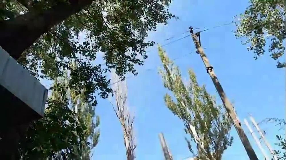 ����� ���������: ���������� ���� �� ��������� ������ "���������" � �������