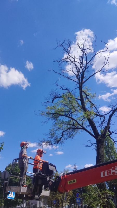 ������� ������: ��� ��� "���������� ������������ ������" ���������� ��������� ������ �� ������������ � ���������� ������� �������� �� ��������� ������