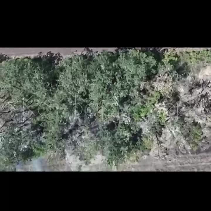 ������ ������������ ��������