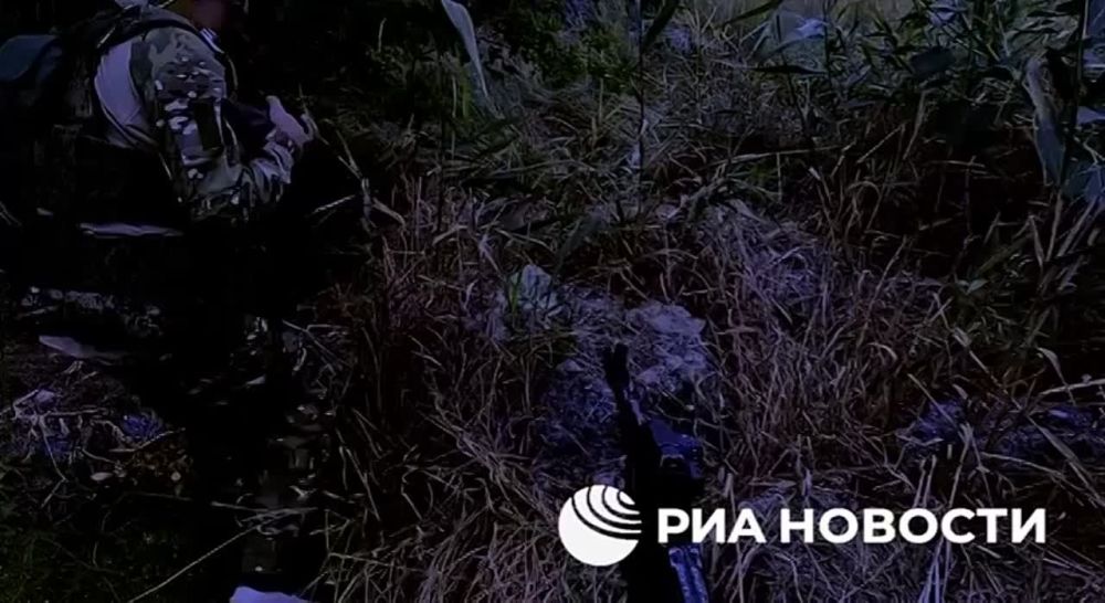 ���� �������: ��������� ������, ������������ �� ����� ���������� ���������� ��� � ������� �������