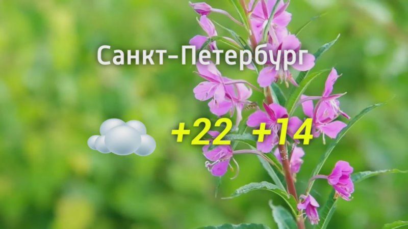 ������� ������ �� 18.08.2024