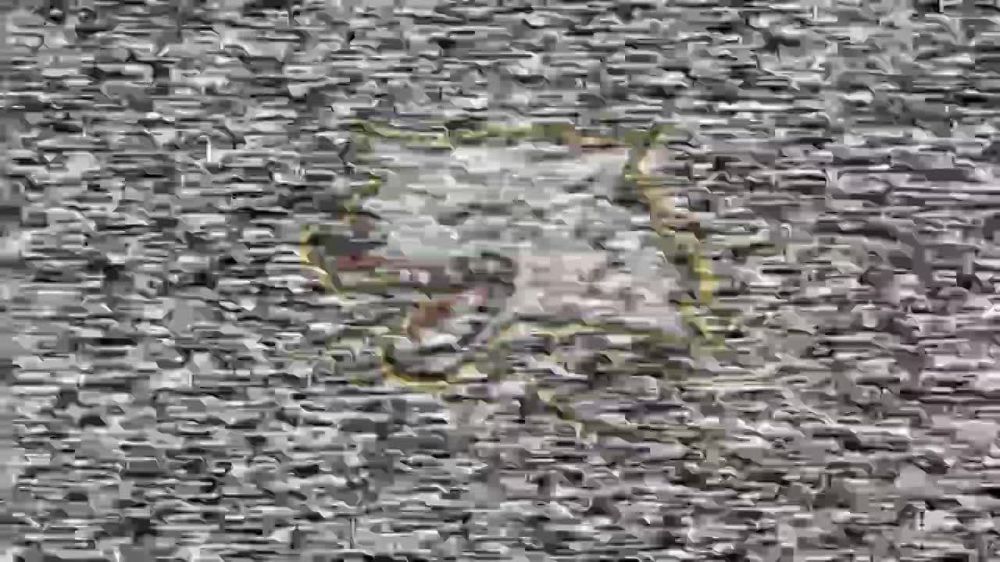 ��������� �������: ��������� �� ������� ������� ��� ���������� ���� ��� �� ���������� �����������