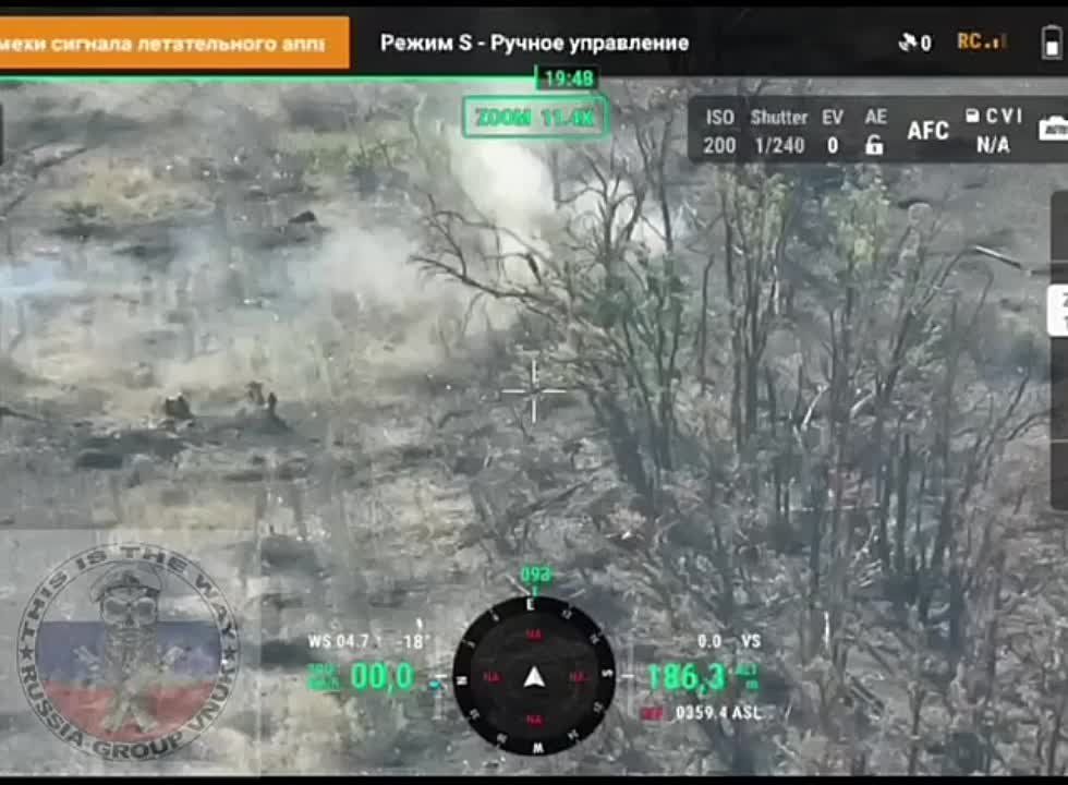 ������� �������: ������� ������� � ����-��������� �����������