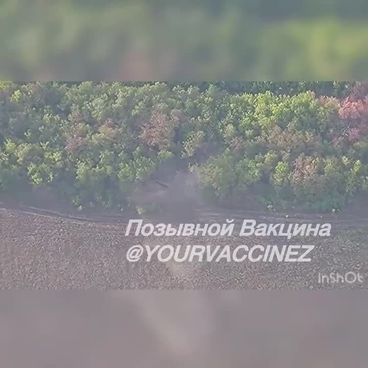 ���������� �����������. ��� ���� ������� ���������� ���������� � ������������ ������� "��������"
