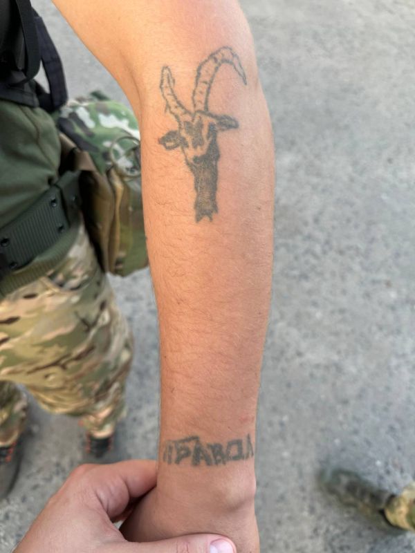 ������ ������: ��� ������� ������� ������ ������