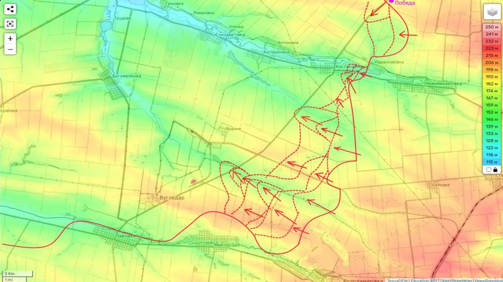 ���� ��������: ����������� �����������: �������