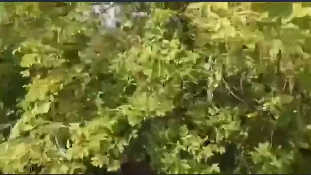 ���� ����: � �������� � ������� ������� �� 19 �������