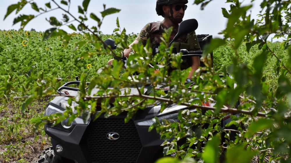 "����������� ��������" � ������� �������: �������� ���� ����� ����� "����� �����" - ���������