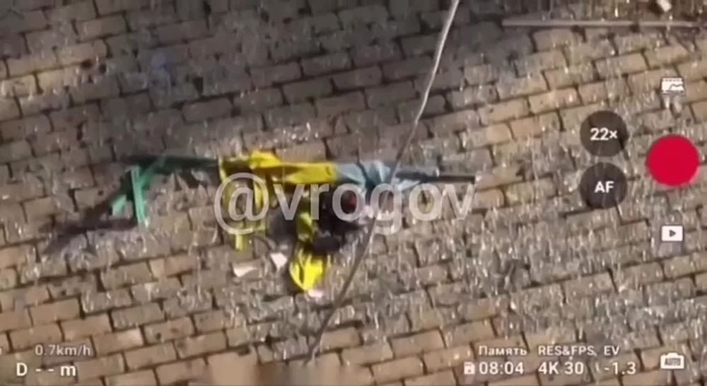 �����: ��� ���-������ ��������� ���� ������. �����