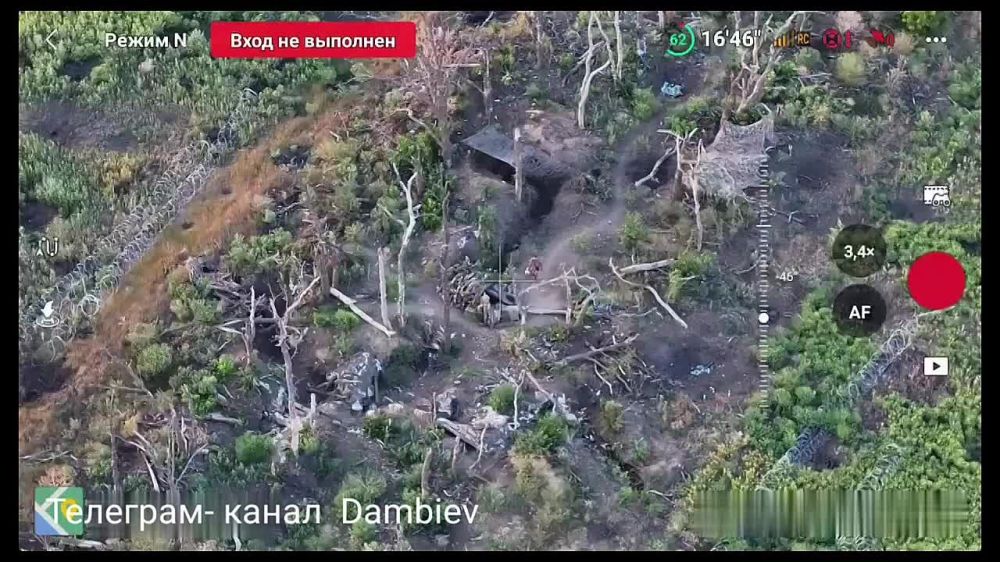 ������ �������: ����������� ����������� �������� ������ ������ � ��� ����������� ����������� 36 ����� ����������� "������" �� �� �� ����-�������� �����������