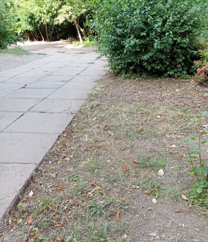 ������� �������: �� ����������� ��������������� ���������� � ���������� �������� ���������� ������ ����������� ������ �� ������ ������ � ����������� ����