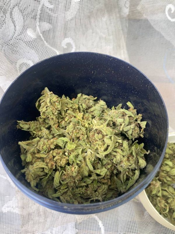 ���������� ������� ������ ��������� � ���������