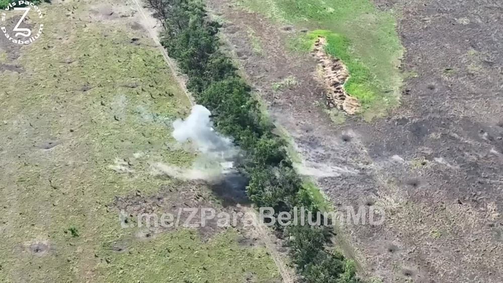 Борис Рожин: Артиллеристы группы Злого пропалывают торецкие посадки вместе с пехотой противника