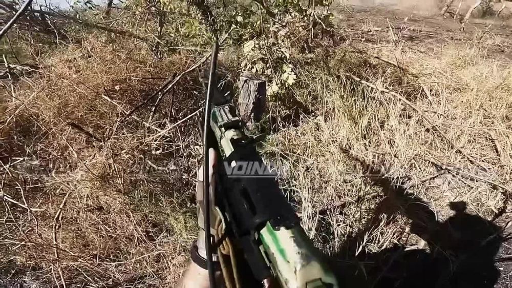 ���� �������: ����������� ����������� - ����� ������� 72 ���� ���