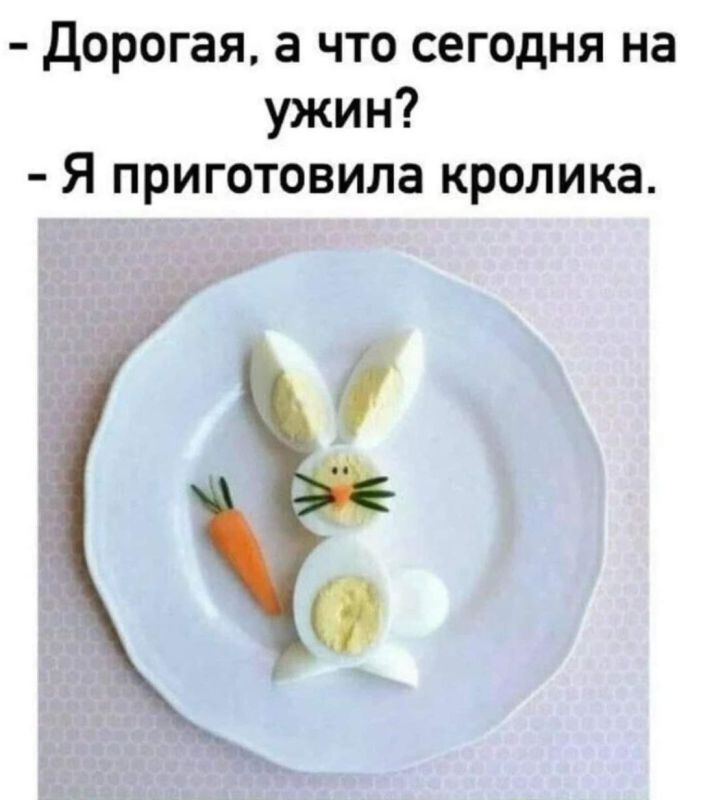 ������� �����. ��������� ���������-24