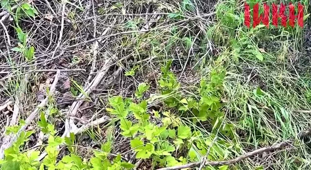 Борис Рожин: Артемовская атмосфера.. Отличное видео, с юмором, о реалиях современного Артемовска