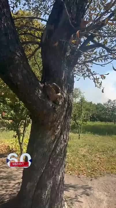 ������� ������� ������������ �������� �� �������� ���, �� �� �������� ����� �������