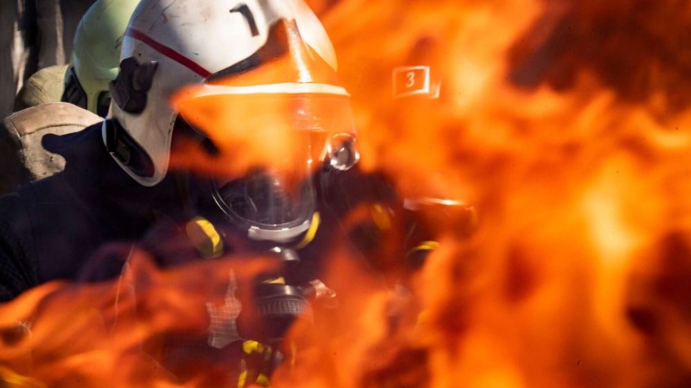 ������� �� ����: 22 �������